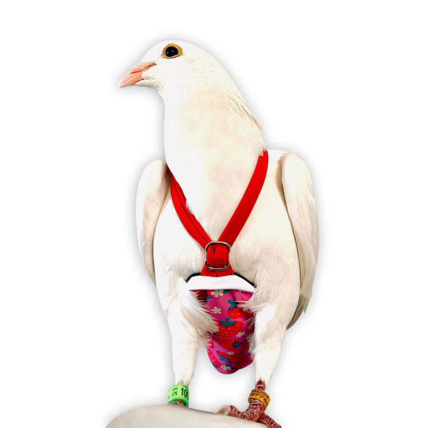 Cherries 2 BEV’s Bird Boutique Flyper Mini 